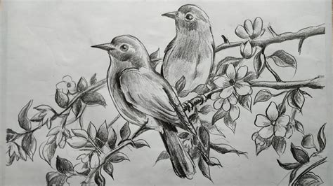 45 Classic Bird sketching drawing for Adult | Free Drawing and Coloring ...