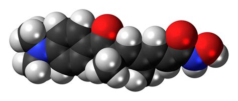 Histone Deacetylase Inhibitors