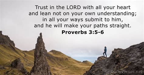 Proverbs 3:5-6 - Bible verse - DailyVerses.net