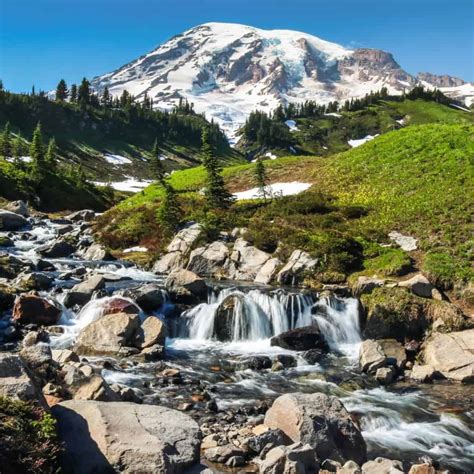 Skyline Trail: Mount Rainier's Best Day Hike - Travel. Experience. Live.