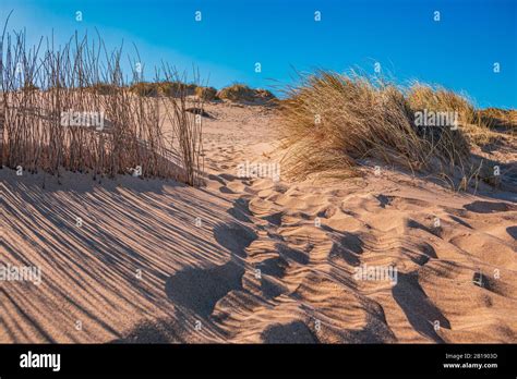 Praia do guincho surfing hi-res stock photography and images - Alamy