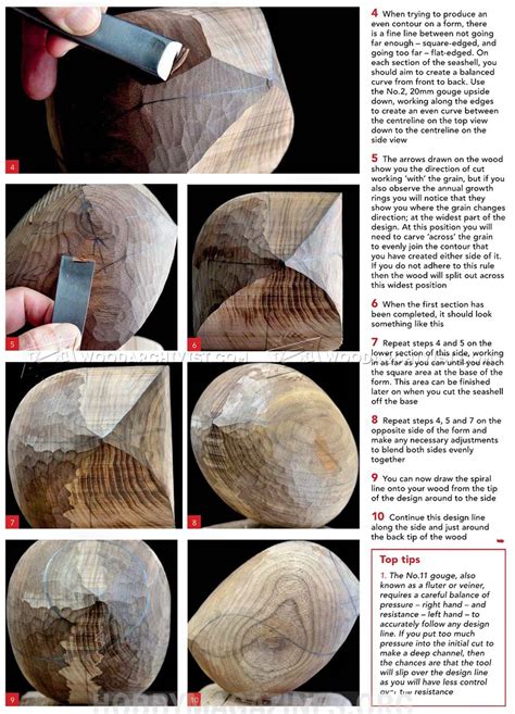 Seashell Carving - Wood Carving Patterns • WoodArchivist