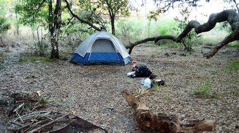 Go Wild at Myakka River State Park | Visit Sarasota County