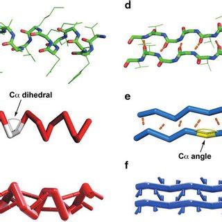 A segment of an alpha helix and beta sheet was extracted from a helical ...