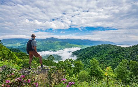 Blue Ridge Hiking | Hiking Destinations Blue Ridge Georgia