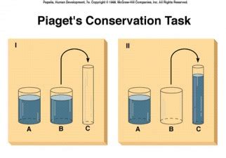 Stages of Cognitive Development - Jean Piaget