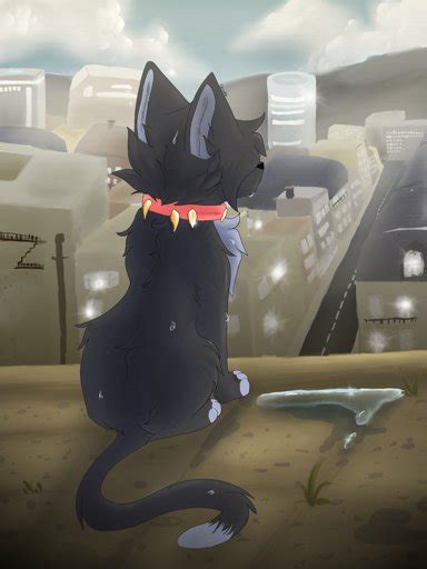 Brokenstar | ♤Warrior Cats♤ Amino