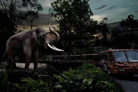 Experience the Adventure of Night Safari in Singapore 2025