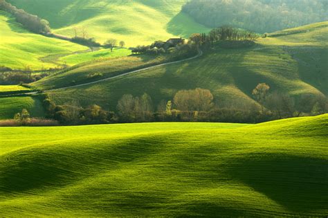 Rolling Hills Covered in Green Grass