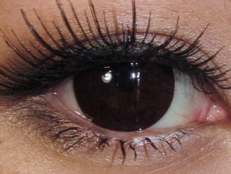 Dark Brown Contacts - eTopical