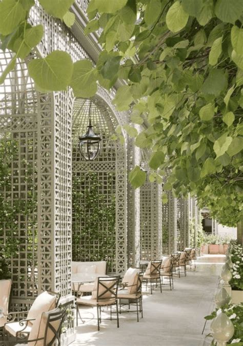 How To Use Trellis For Interior Design