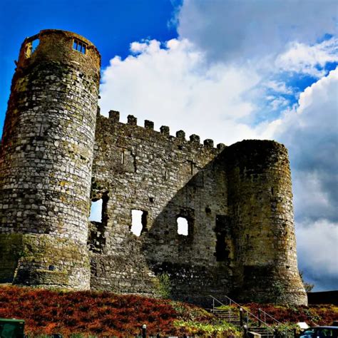 Carlow Castle - Irish castle • Go-to-Ireland.com