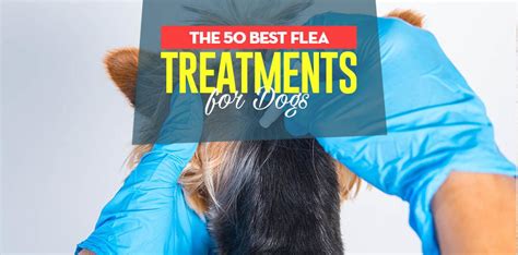 Top 50 Best Flea Treatment for Dogs of 2018 (as chosen by pet owners)