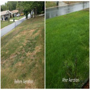 When and How to Aerate Your Lawn - Blog - BulbandKey