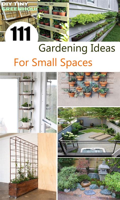 111 Gardening Ideas For Small Spaces - A Blog on Garden