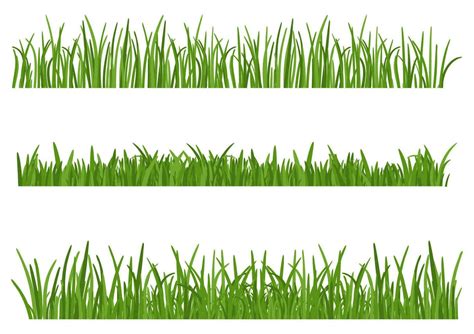 Green Grass isolated on white background. Set of Grass heights design ...