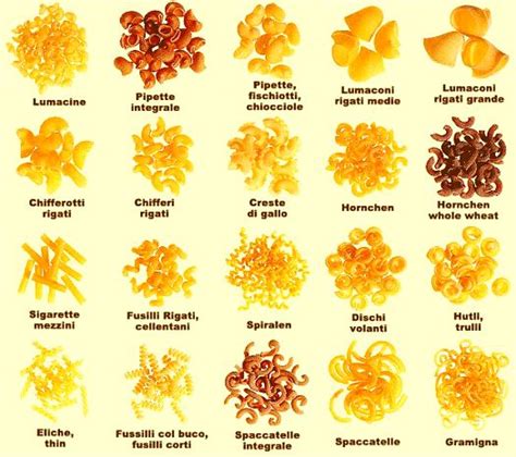 Anything & Everything: 51 PASTA SHAPES