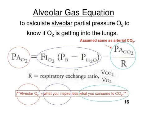 11.17.08(b): Alveolar Ventilation II