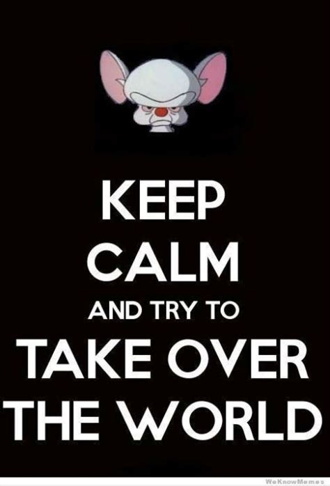 Pinky And The Brain Funny Quotes - ShortQuotes.cc