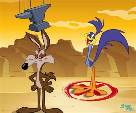 Looney Tunes Road Runner Cartoon