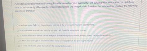 Solved Consider an excitatory synapse coming from the | Chegg.com