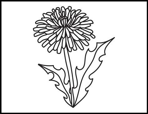 Dandelion Coloring Pages | Roaring Spork