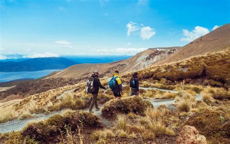 hiking new zealand - Living + Nomads – Travel tips, Guides, News ...