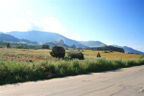 Road & Country Landscape Stock Image - Image of fields, grain: 2387623