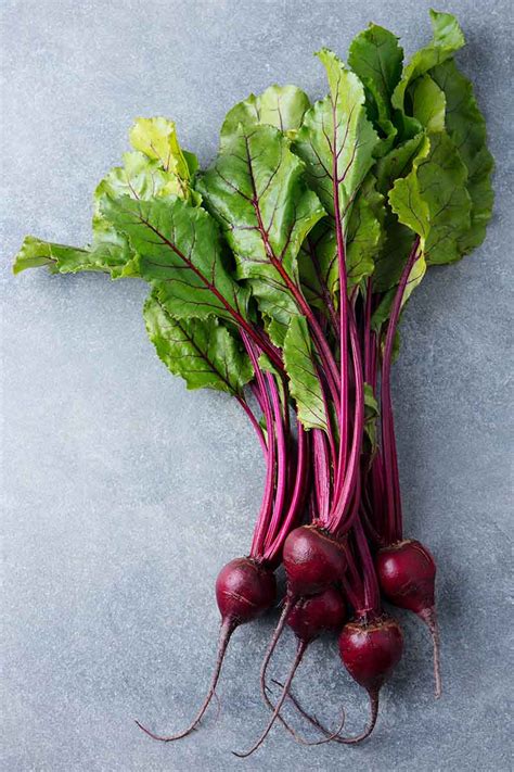 How to Harvest Beet Greens | Gardener's Path