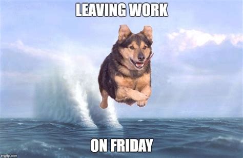 Funniest Leaving Work on Friday Meme Joke | QuotesBae