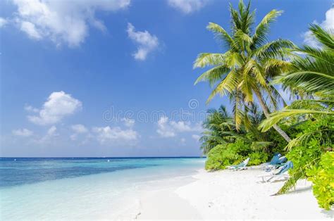 Beach in Maldives. Private beach in a resort island, Maldives , #Aff, # ...