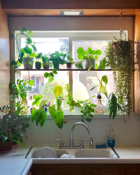 Spectacular Kitchen Window Plant Shelf Bathroom Stand