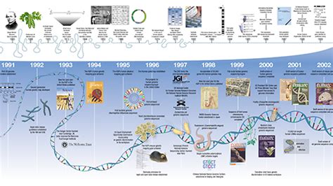 The Human Genome Project