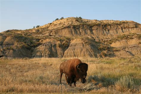 Theodore Roosevelt National Park Wallpapers - Wallpaper Cave