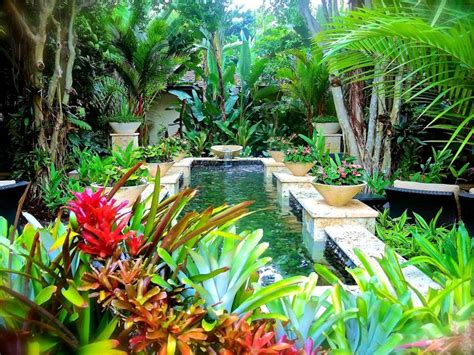 313 best Tropical Water Features images on Pinterest | Gardening, Ponds ...