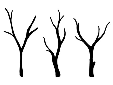 Vector set of dry tree branches. Isolated botanical objects on a white ...