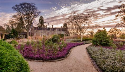 In Pictures: Winter wonder at Wakehurst | Kew