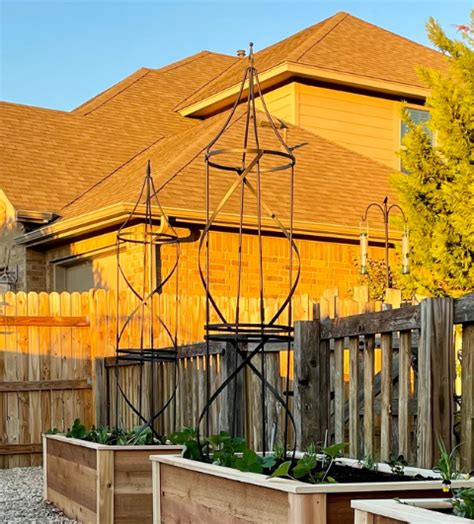 3 Beautiful Garden Trellis Ideas - Lettuce Grow Something