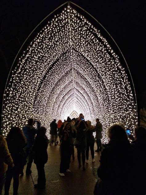 Christmas Lights at the Edinburgh Botanic Gardens 2018