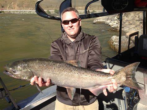 Idaho Salmon Fishing for Chinook Salmon | River Adventures LLC