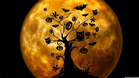 Halloween 4K Wallpapers - Top Free Halloween 4K Backgrounds ...