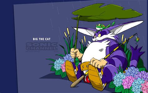 Big The Cat - Desktop Wallpapers, Phone Wallpaper, PFP, Gifs, and More!