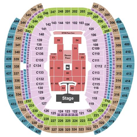 Pink Tickets Allegiant Stadium - Maggy Rosette