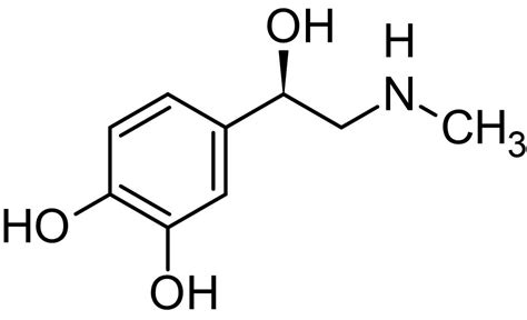 Epinephrine (Adrenaline), beta2 agonist (CAS 51-43-4) (ab142299) | Abcam