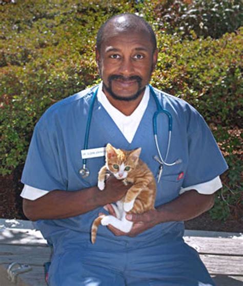 Experienced Veterinarians | Veterinary Hospital