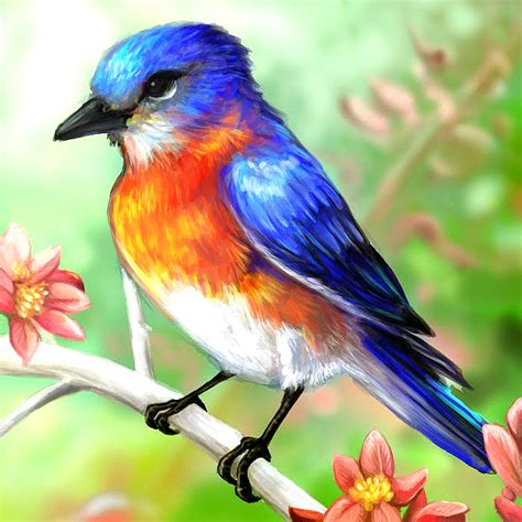 Colorful Bird Drawing at GetDrawings | Free download