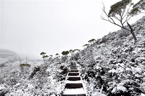 hiking in winter cradle mountain - Awesome Explorations