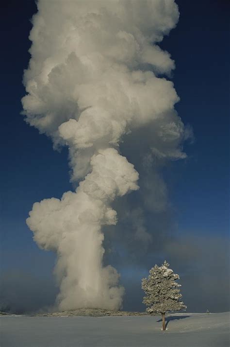 Old Faithful Geyser In Winter Photograph by Norbert Rosing