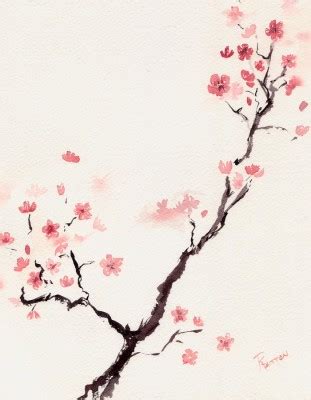 Paper Cherry Blossom Wallpaper - Cherry Blossom Painting Png - 900x820 ...