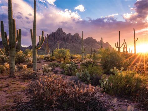 254 best Sonoran Desert images on Pholder | Earth Porn, Arizona and Tucson